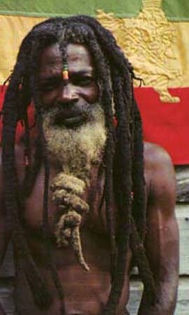 Tribu Urbana Rastas